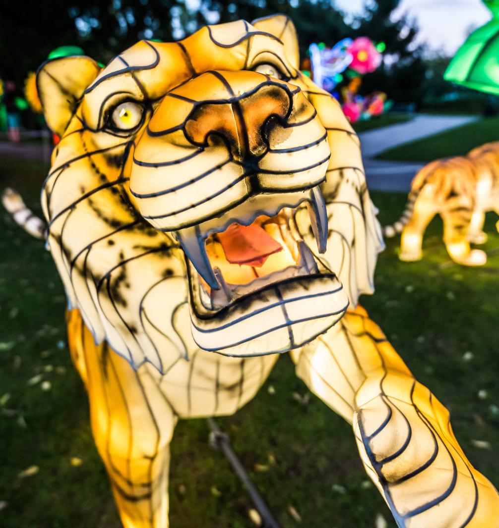 Lantern Festival